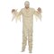 Adult Mummy Costume Gauze Look Jumpsuit with Matching Hood Halloween Outfit